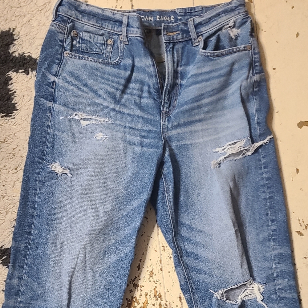 American Eagle Outfitters Blue Skinny Distressed Jeans